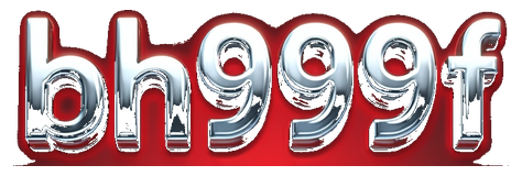 bh999f logo